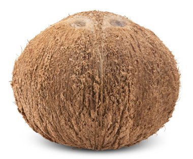 Hindistan cevizi beyaza izole edilmiş, hindistan cevizi kırpma yolu hepsi odaklanmış