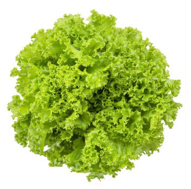 Marul beyaz, marul kırpma yolu üst görünüm üzerinde izole