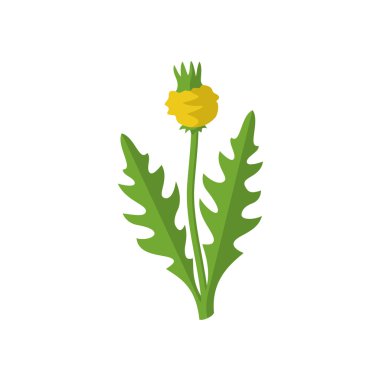 Çim ot kötü amaçlı