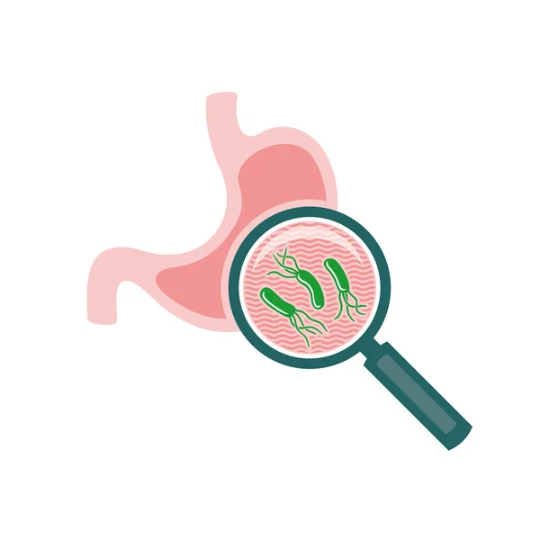 Helicobacter Bacteria Pylori — Vector de stock