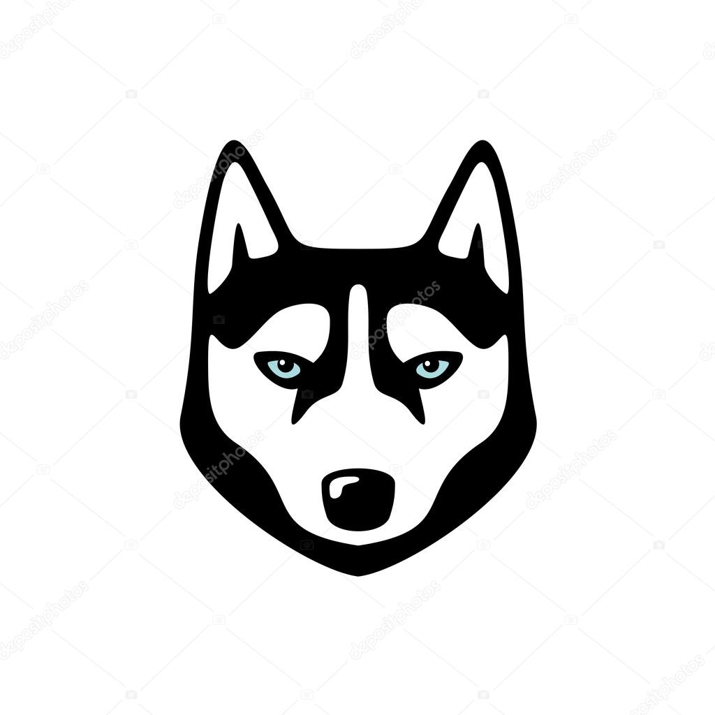 Vector illustration design of Serious husky dog head logo isolated on white background