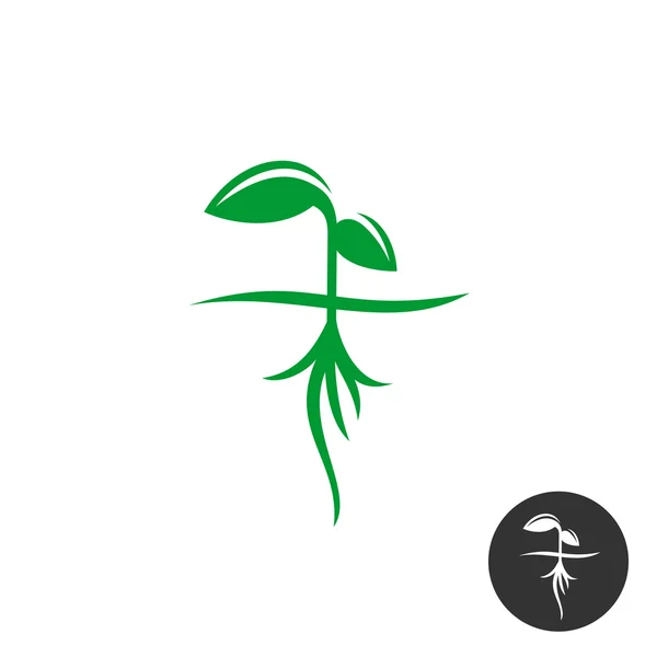 Germe vert avec racines — Image vectorielle
