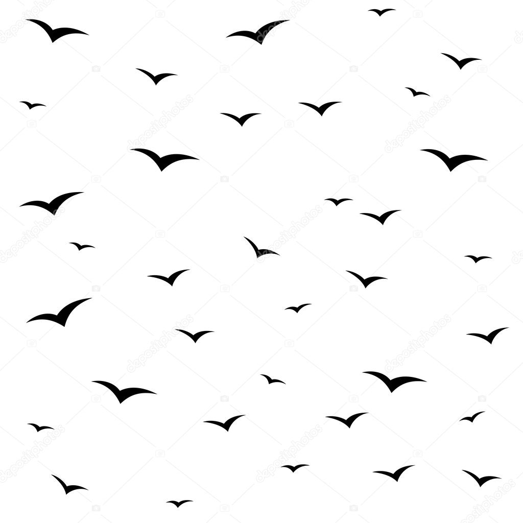 Vector illustration design of black Seagulls isolated on white background