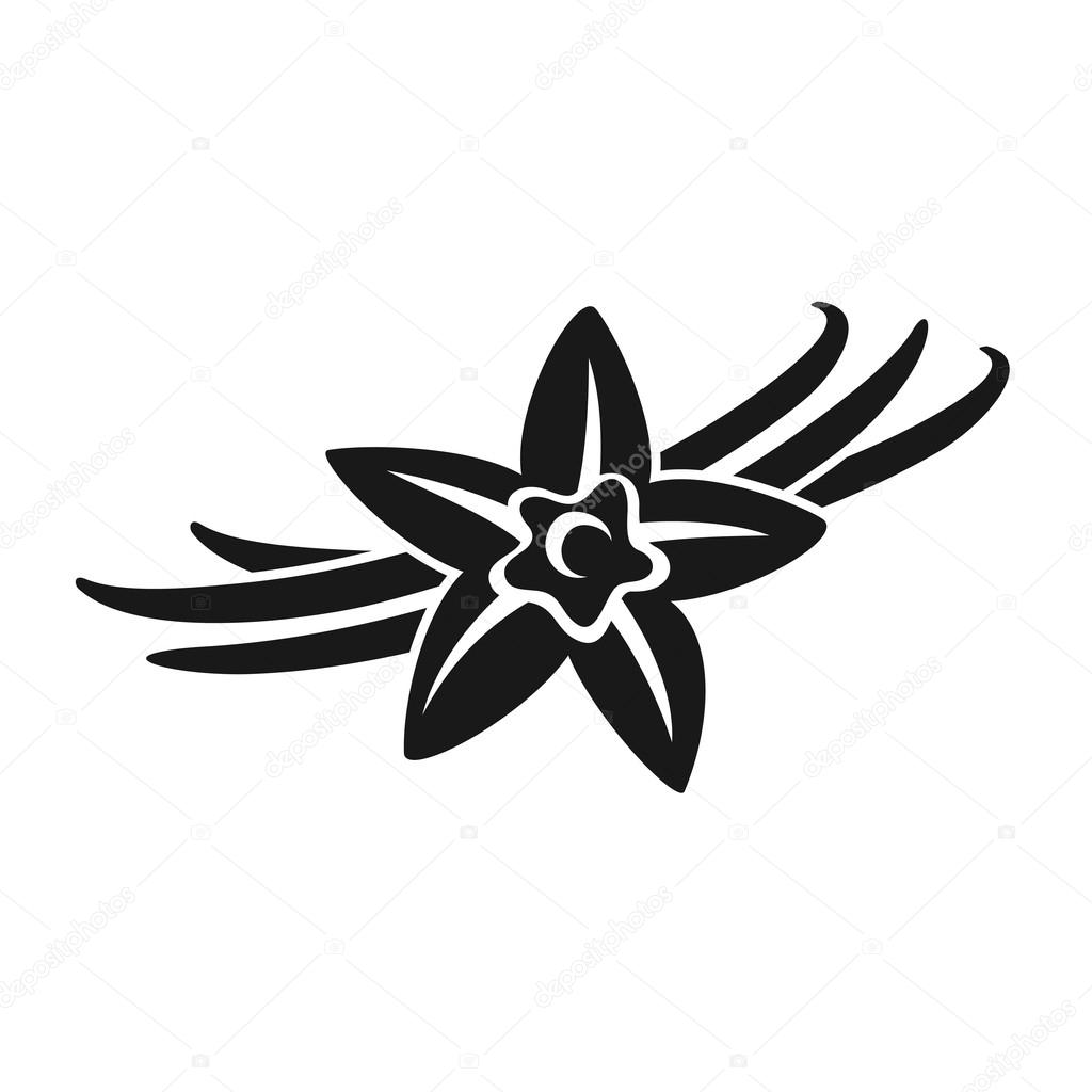 Vector illustration design of Vanilla flower