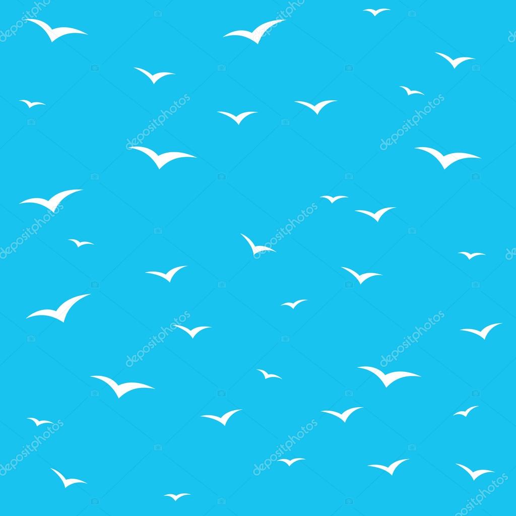Vector illustration design of white Seagulls on blue background