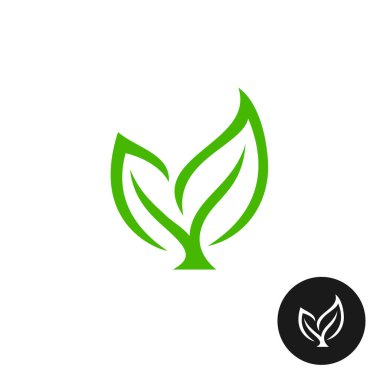 Two green leaves with a branch icon clipart
