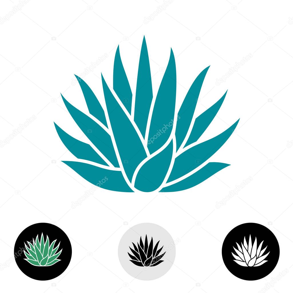 Agave plant vector silhouette. Blue agave cactus illustration. Tequila logo.