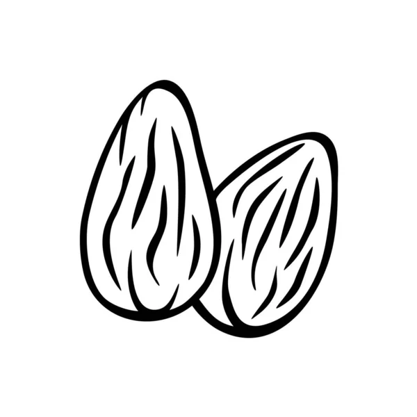 Almendras nueces icono vectorial aislado. Dos nueces de almendra ilustración dibujada a mano . — Vector de stock