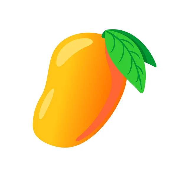 Mango fruit geïsoleerde vector illustratie. Verse sinaasappelrijpe mango. — Stockvector