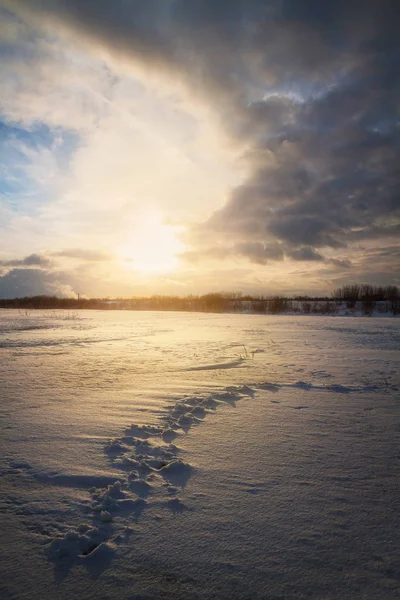 Impronte sulla neve in una giornata invernale soleggiata — Foto Stock