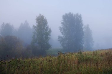 sisli sonbahar sabahı