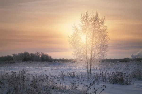 Frosty winteravond — Stockfoto