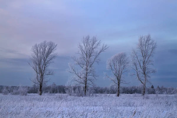 Paisaje invernal al atardecer — Foto de Stock