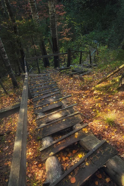 Staré dřevěné schodiště v podzimním lese — Stock fotografie