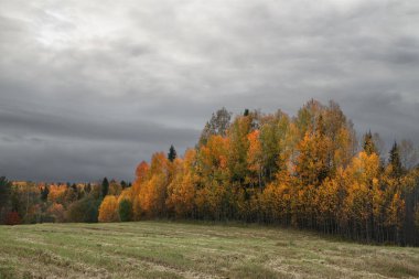 bulutlu sonbahar günü