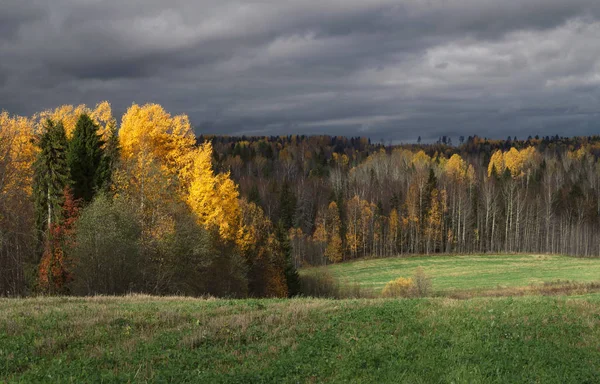 秋天的森林和戏剧性的天空 — 图库照片