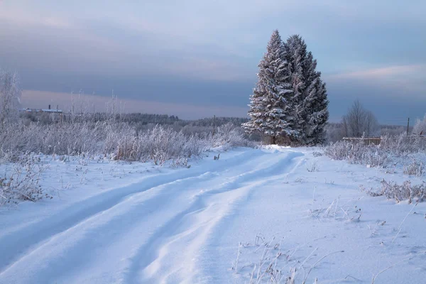 Βράδυ χειμερινό τοπίο — Φωτογραφία Αρχείου