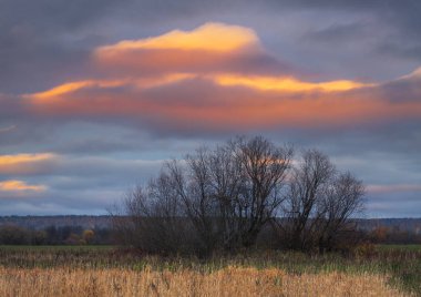 Susnet 'te dramatik gökyüzü olan sonbahar manzarası