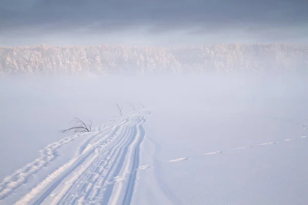 Snowmobile Nyomvonal Ködös Téli Mezőn — Stock Fotó