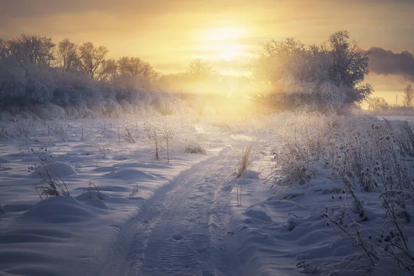 Schneemobil Trail Einem Nebligen Winterfeld Bei Sonnenuntergang — Stockfoto