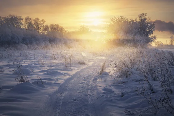 Trilha Snowmobile Campo Inverno Nebuloso Pôr Sol Fotografia De Stock