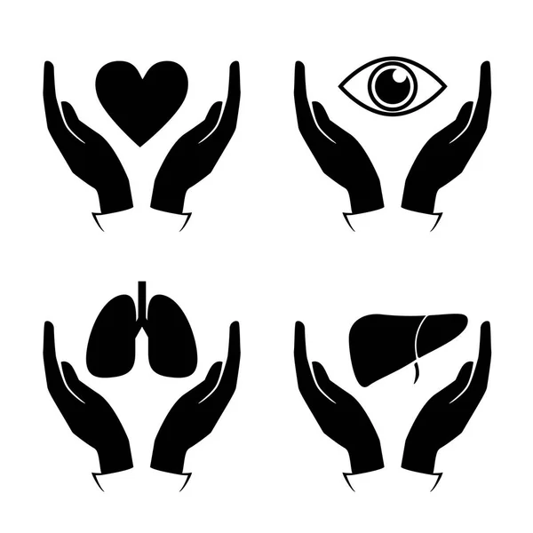 Sostenga el corazón, los ojos, los pulmones, los iconos hepáticos — Vector de stock