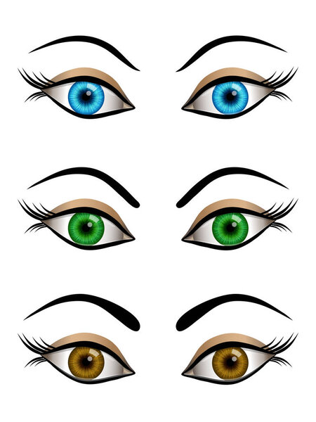 Set of cartoon female eyes blue, brown and green colors