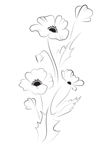 Haşhaş çiçekleri siyah siluet — Stok Vektör