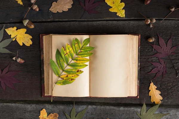Vintage nyitott Jegyzetfüzet-val színes őszi levelek fa háttér. Őszi csendélet — Stock Fotó