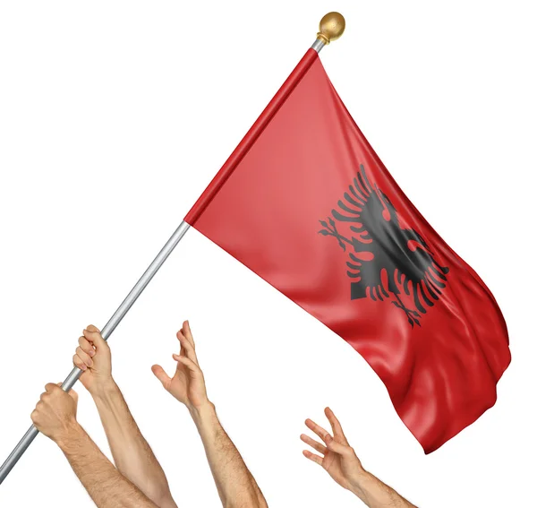 Equipo de manos de los pueblos levantando la bandera nacional de Albania, representación 3D aislado sobre fondo blanco —  Fotos de Stock