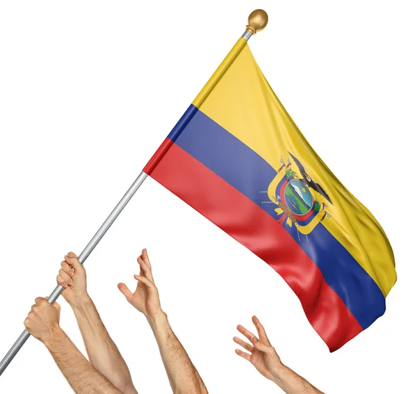 Team of peoples hands raising the Ecuador national flag, 3D rendering isolated on white background — Stock Photo, Image