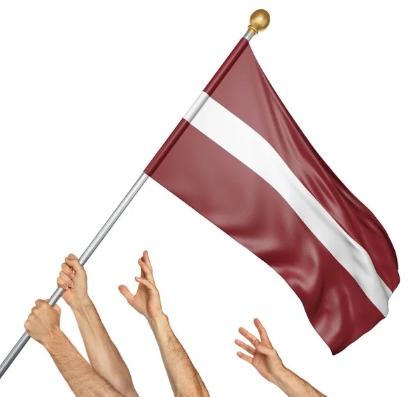 Team of peoples hands raising the Latvia national flag, 3D rendering isolated on white background — Stock Photo, Image