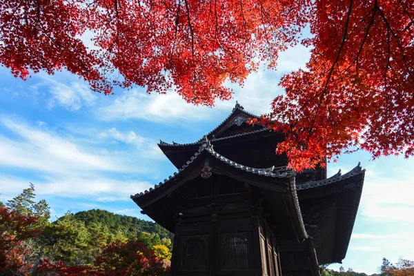 Kyoto, Japonya 'da eski bir tapınak ile parlak kırmızı akçaağaç yaprakları kontrast — Stok fotoğraf
