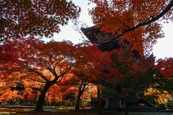 Des érables rouges flamboyants d'automne et une pagode japonaise traditionnelle à Kyoto, au Japon — Photo
