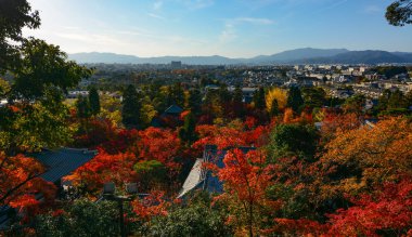 Kırmızı maples ve tapınak çatıları ile Japonya'nın Kyoto şehir manzarası güzel bir akşam sonbahar manzarası