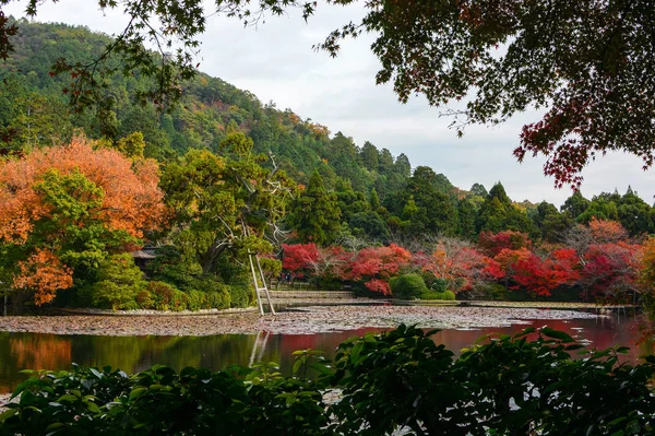 Malownicze lily staw otoczony drzewami klon czerwony pełny jesień kolor w Kioto, Japonia — Zdjęcie stockowe