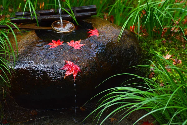 Rote Blätter des Herbst-Ahorns ruhen auf einem Tsukubai oder Waschbecken in einem japanischen Tempel — Stockfoto