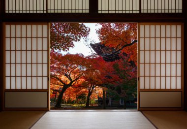 Antik pagoda ve güzel kırmızı bir geleneksel Japon kapıdan sonbaharda görülen maples düşmek
