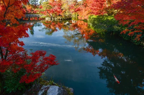 Friedlicher japanischer Teichgarten im Herbst mit roten Ahornbäumen in voller Herbstfarbe — Stockfoto