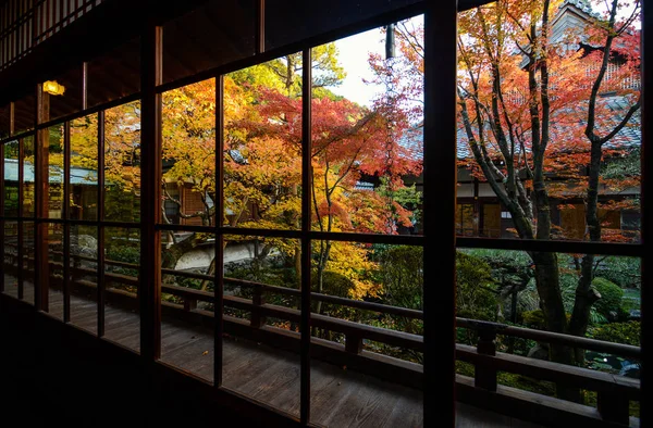 Hermosa vista de los árboles de arce de otoño a través de grandes ventanas enmarcadas en Kyoto, Japón —  Fotos de Stock