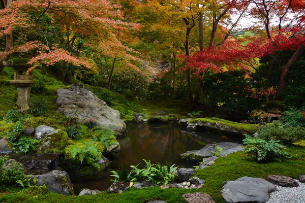 Étang de jardin à Kyoto, Japon avec mousse verte luxuriante et érables rouges d'automne — Photo