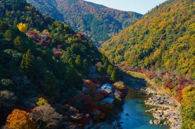 Sonbahar sırasında Kyoto, Japonya Arashiyama parçası Katsura Nehri boyunca renkli ormanlar