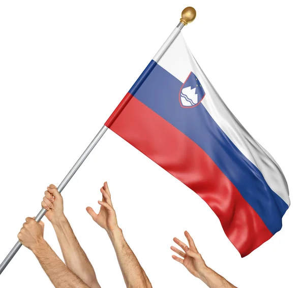 Team von Menschenhänden beim Hissen der slowenischen Nationalflagge, 3D-Darstellung isoliert auf weißem Hintergrund — Stockfoto