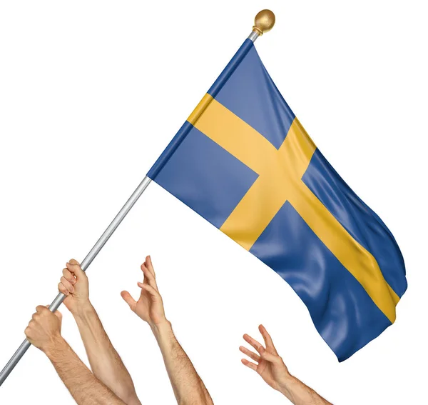 Echipa de oameni ridică steagul național al Suediei, redare 3D izolată pe fundal alb — Fotografie, imagine de stoc