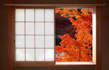 Açık Japon sürgülü pencere ve parlak kırmızı akçaağaç yaprakları düşmek