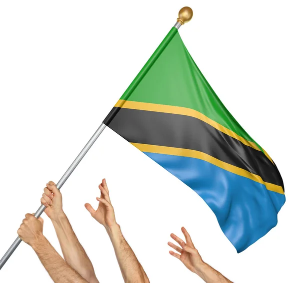 Team av bemannar händer att höja den Tanzania nationellt flagga, 3d-rendering isolerad på vit bakgrund — Stockfoto