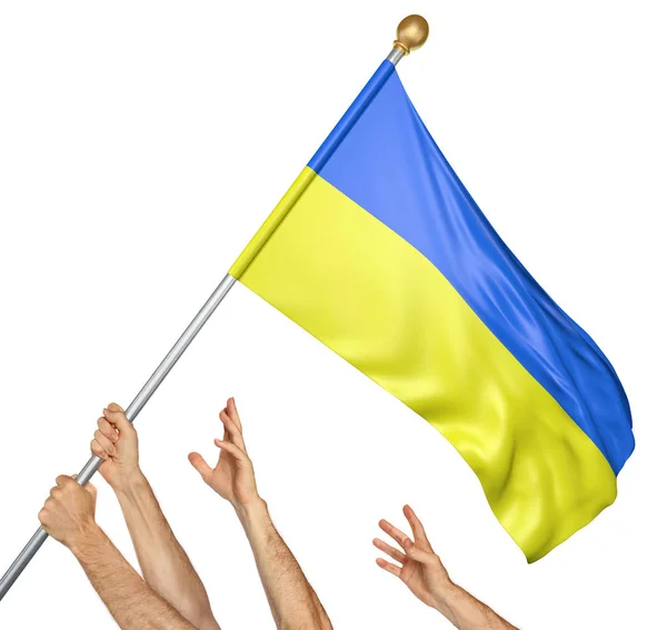 Team of peoples hands raising the Ukraine national flag, 3D rendering isolated on white background — Stock Photo, Image