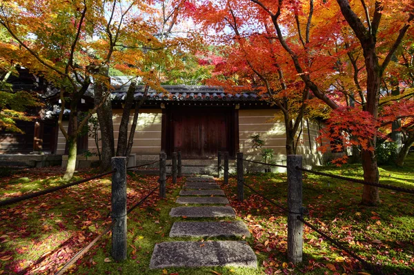 Coloridos árboles de arce otoñal sombreando un camino a una puerta tradicional japonesa en Kyoto —  Fotos de Stock