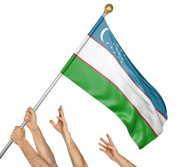 Team av bemannar händer att höja Uzbekistan nationella flagga, 3d-rendering isolerad på vit bakgrund — Stockfoto