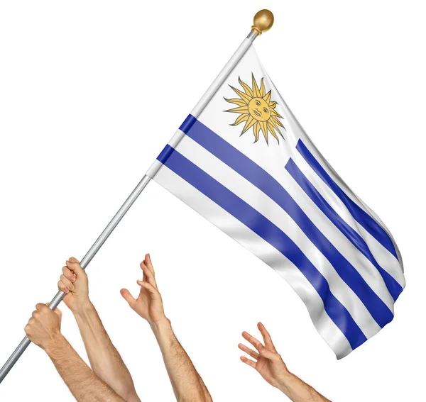 Team von Menschenhänden beim Hissen der uruguayischen Nationalflagge, 3D-Darstellung isoliert auf weißem Hintergrund — Stockfoto